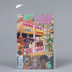 Polyethylene Regular COMIC Bags are